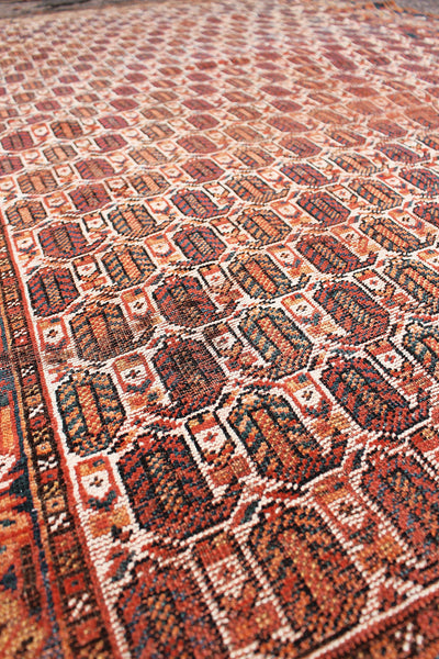 Afghan Vintage Paisley Rug