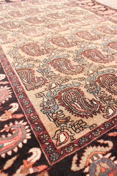 Vintage Persian Paisley